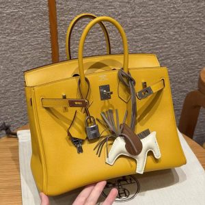 Hermès Birkin 25 Bag Handmade In Swift Calfskin Leather Silver Hardware T2 June Mango