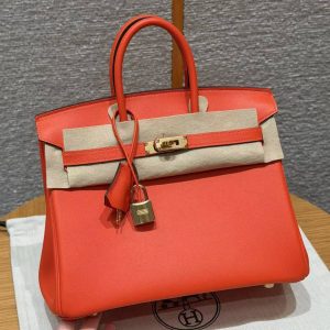 Hermès Birkin 25 Bag Handmade In Swift Leather Gold Hardware 9J Feu