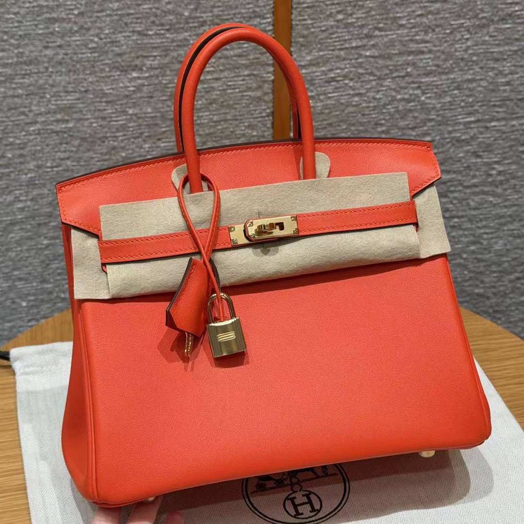 Hermès Birkin 25 Bag Handmade In Swift Leather Gold Hardware 9J Feu