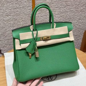 Hermes Birkin 25 Bag Handmade In Togo Calfskin Leather Gold Hardware 1K Bambou