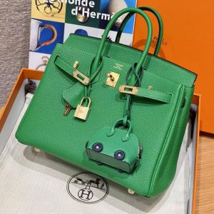 Hermes Birkin 25 Bag Handmade In Togo Calfskin Leather Gold Hardware 1K Bambou - Image 11