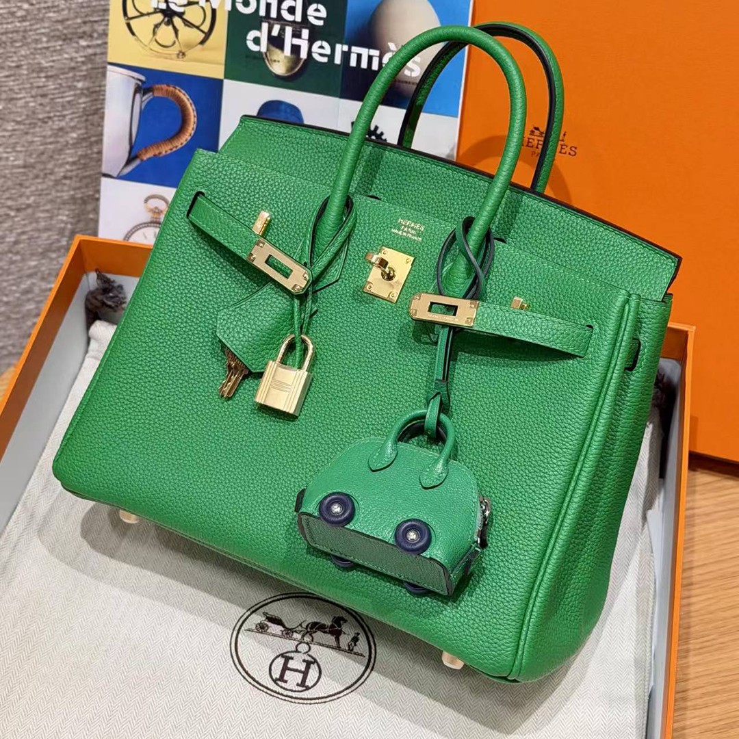 Hermes Birkin 25 Bag Handmade In Togo Calfskin Leather Gold Hardware 1K Bambou - Image 11