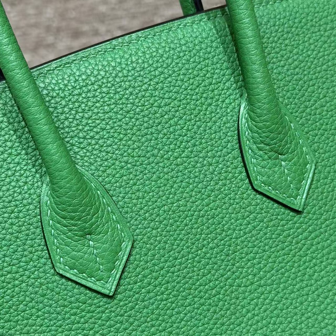 Hermes Birkin 25 Bag Handmade In Togo Calfskin Leather Gold Hardware 1K Bambou - Image 5