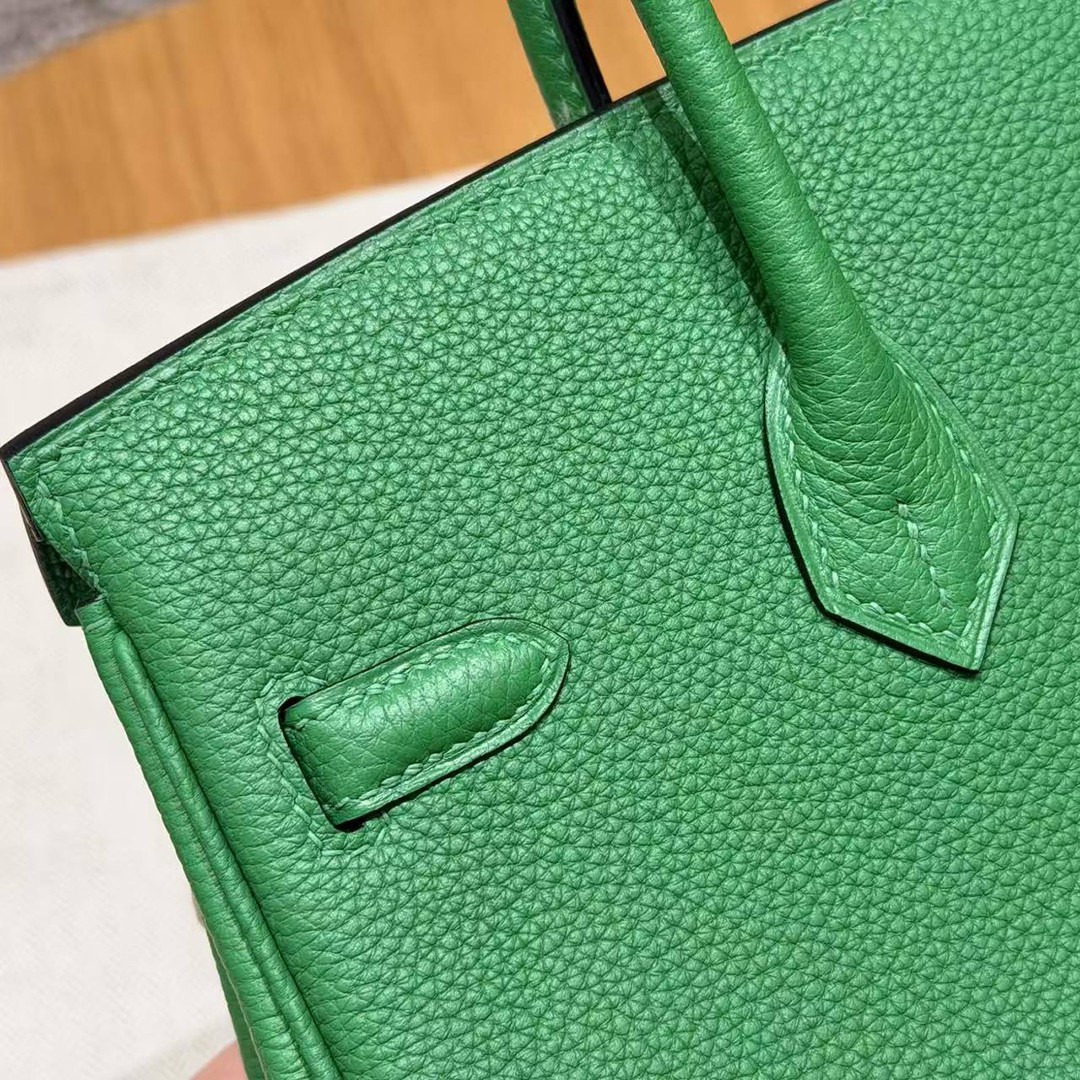 Hermes Birkin 25 Bag Handmade In Togo Calfskin Leather Gold Hardware 1K Bambou - Image 4