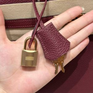 Hermès Birkin 25 Bag Handmade In Togo Calfskin Leather Gold Hardware 55 Rouge H - Image 3