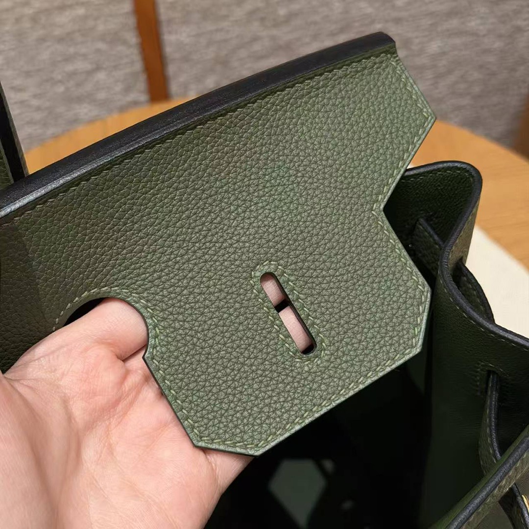 Hermes Birkin 25 Bag Handmade In Togo Calfskin Leather Gold Hardware 61 Olive Green - Image 13
