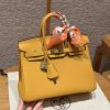 Hermes Birkin 25 Bag Handmade In Togo Calfskin Leather Gold Hardware 9D Jaune Ambre