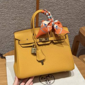 Hermes Birkin 25 Bag Handmade In Togo Calfskin Leather Gold Hardware 9D Jaune Ambre