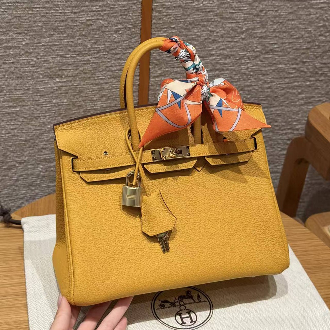 Hermes Birkin 25 Bag Handmade In Togo Calfskin Leather Gold Hardware 9D Jaune Ambre