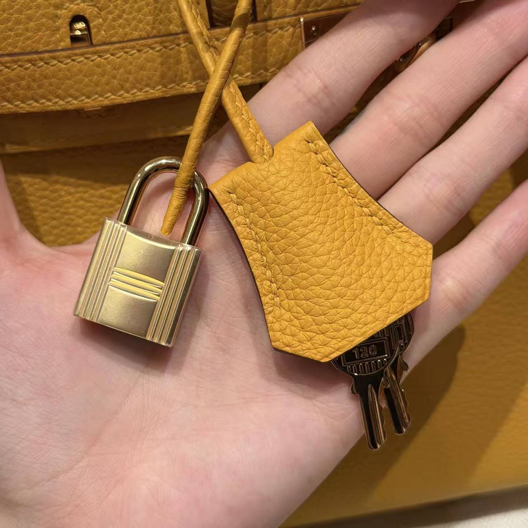 Hermes Birkin 25 Bag Handmade In Togo Calfskin Leather Gold Hardware 9D Jaune Ambre - Image 4