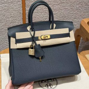 Hermès Birkin 25 Bag Handmade In Togo Calfskin Leather Gold Hardware H0 Girs Misty