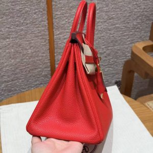 Hermès Birkin 25 Bag Handmade In Togo Calfskin Leather Gold Hardware O5 Rouge Radieux - Image 20