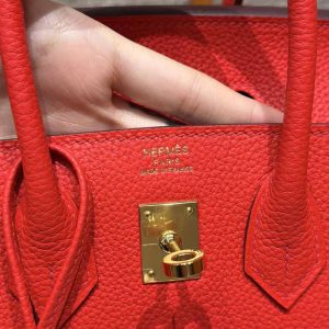 Hermès Birkin 25 Bag Handmade In Togo Calfskin Leather Gold Hardware O5 Rouge Radieux - Image 17