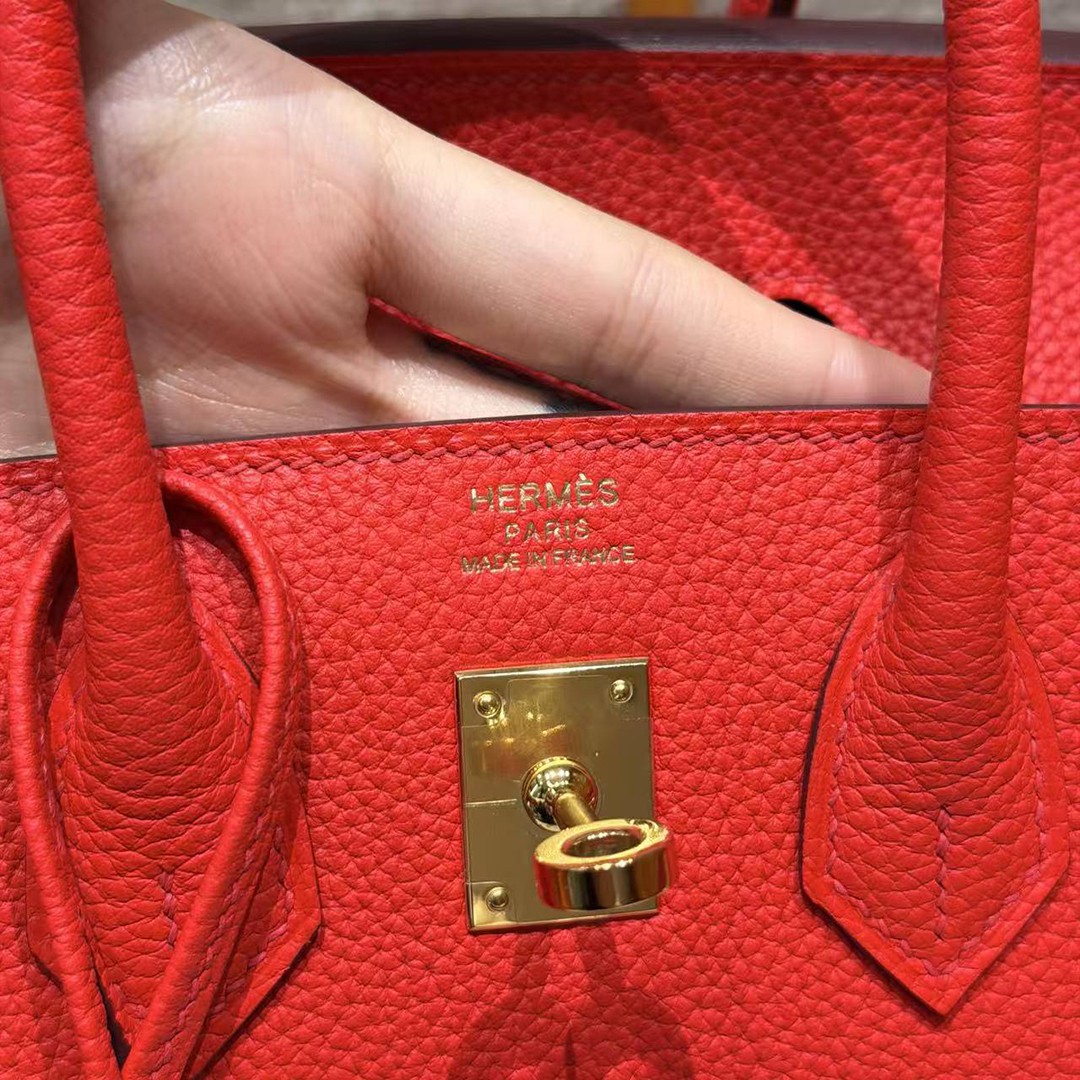 Hermès Birkin 25 Bag Handmade In Togo Calfskin Leather Gold Hardware O5 Rouge Radieux - Image 17