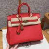 Hermès Birkin 25 Bag Handmade In Togo Calfskin Leather Gold Hardware O5 Rouge Radieux