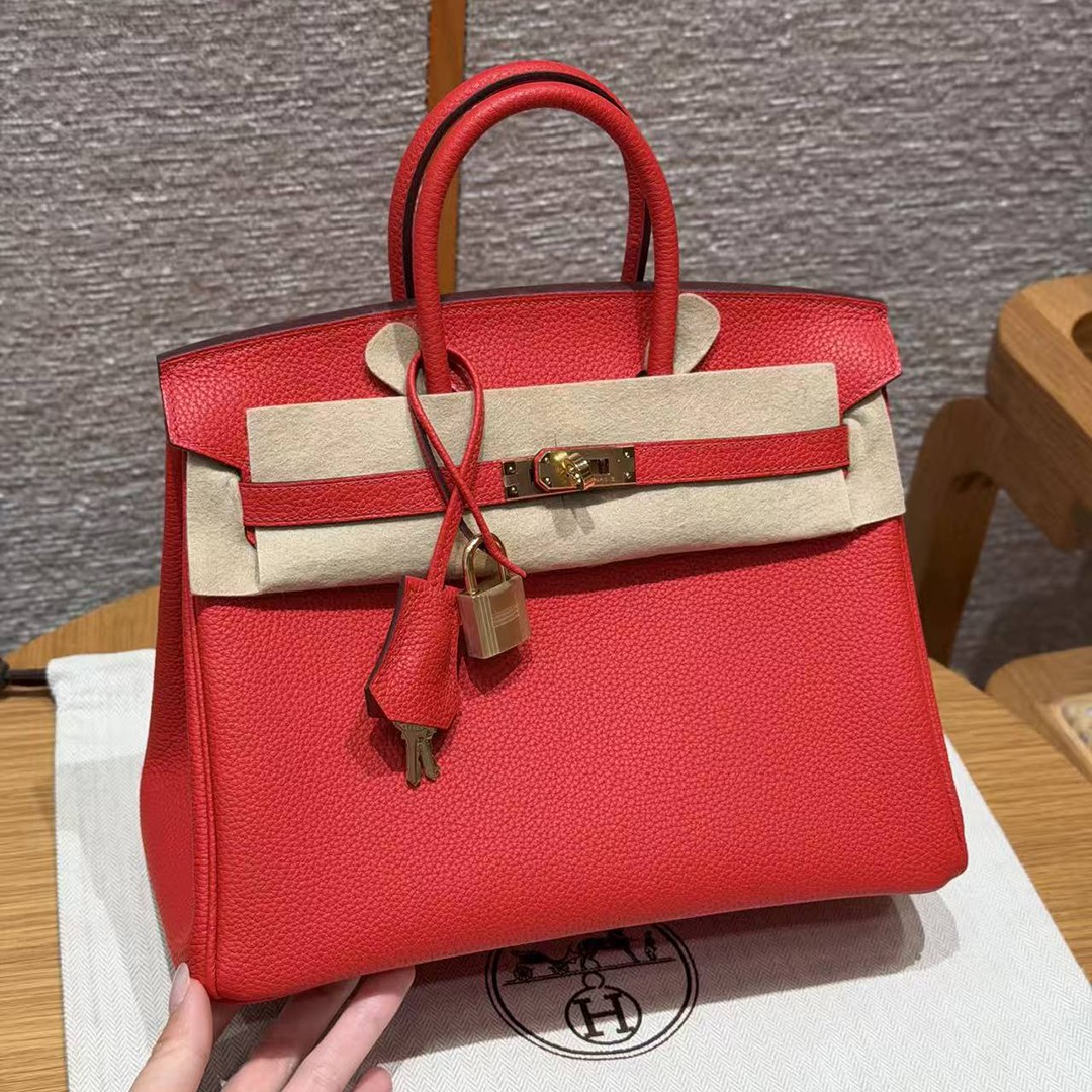 Hermès Birkin 25 Bag Handmade In Togo Calfskin Leather Gold Hardware O5 Rouge Radieux