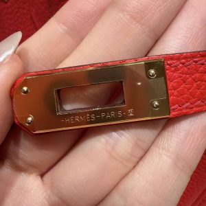 Hermès Birkin 25 Bag Handmade In Togo Calfskin Leather Gold Hardware O5 Rouge Radieux - Image 15