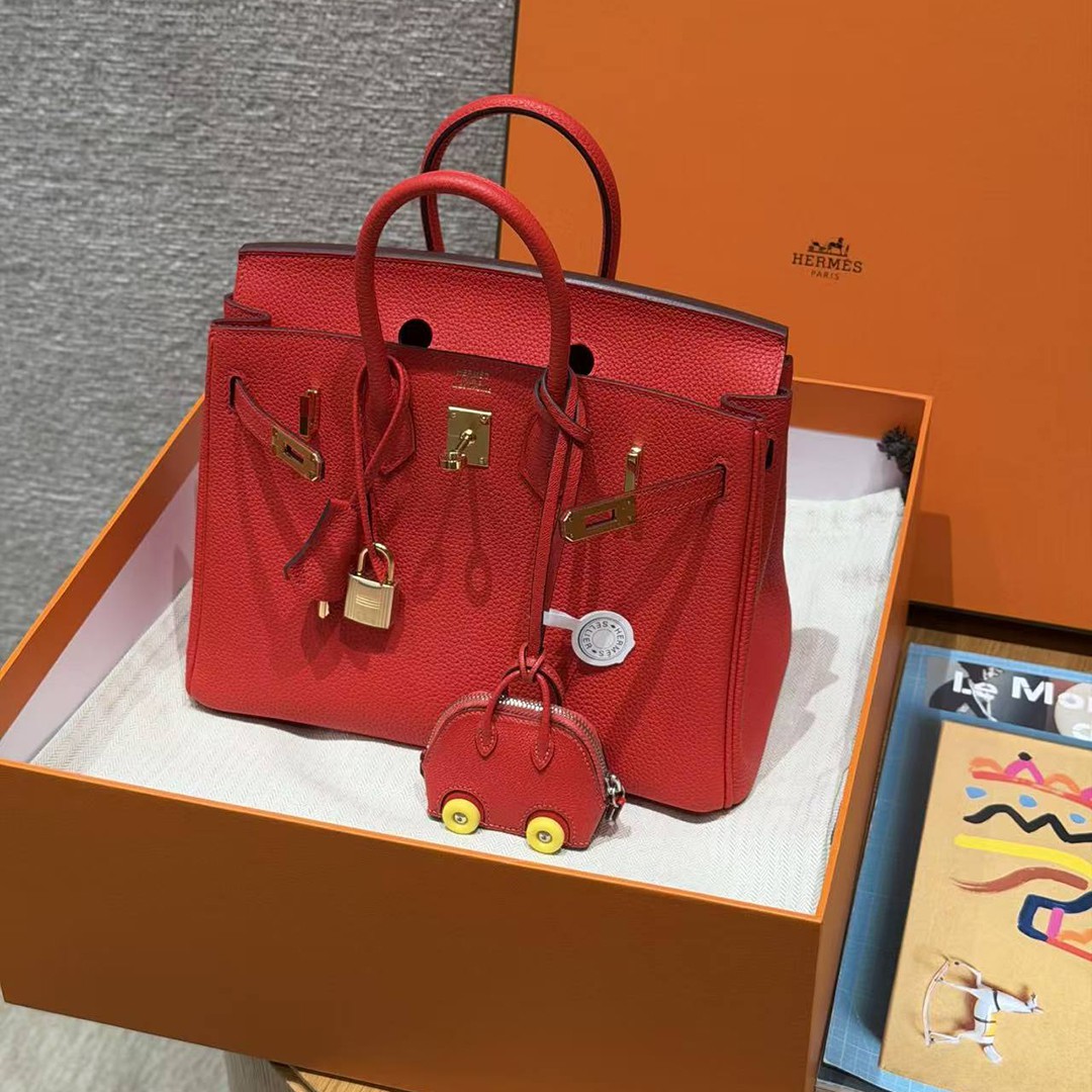 Hermès Birkin 25 Bag Handmade In Togo Calfskin Leather Gold Hardware O5 Rouge Radieux - Image 14