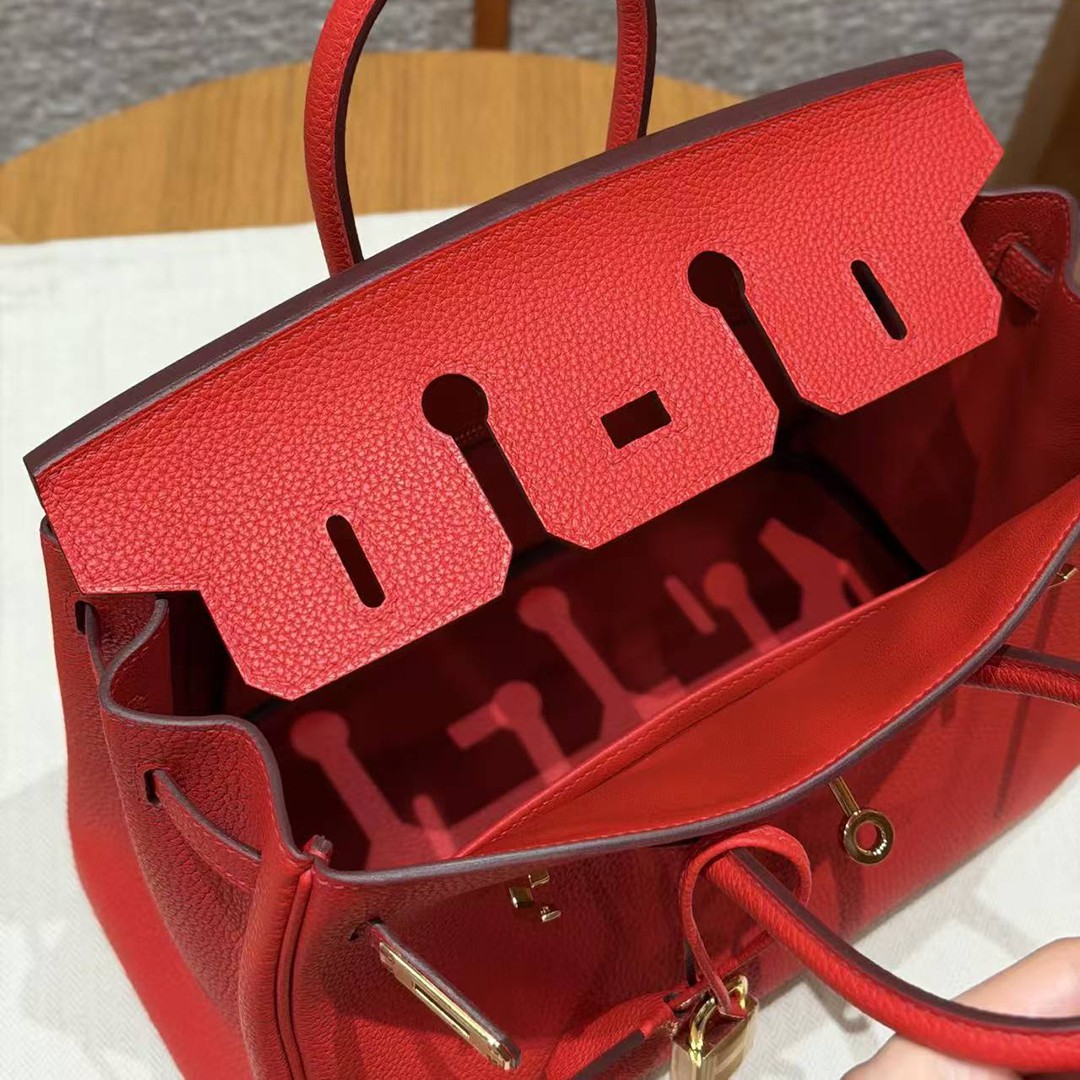 Hermès Birkin 25 Bag Handmade In Togo Calfskin Leather Gold Hardware O5 Rouge Radieux - Image 12
