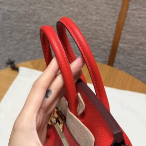 Hermès Birkin 25 Bag Handmade In Togo Calfskin Leather Gold Hardware O5 Rouge Radieux - Image 10