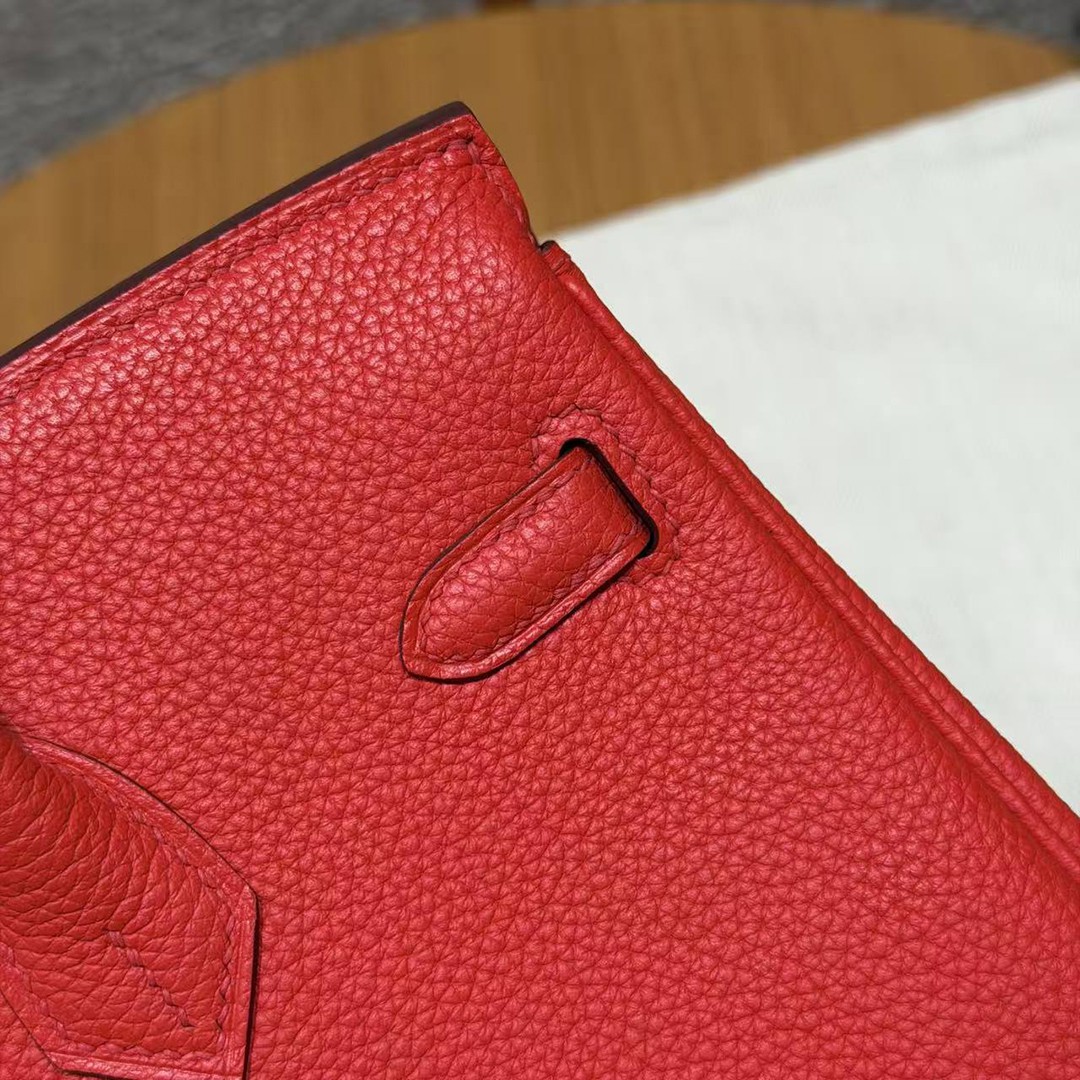 Hermès Birkin 25 Bag Handmade In Togo Calfskin Leather Gold Hardware O5 Rouge Radieux - Image 8