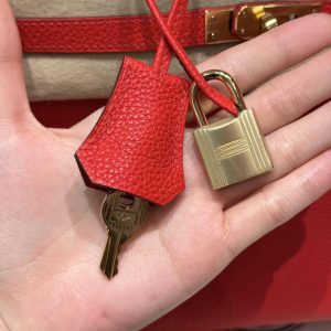 Hermès Birkin 25 Bag Handmade In Togo Calfskin Leather Gold Hardware O5 Rouge Radieux - Image 6