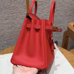 Hermès Birkin 25 Bag Handmade In Togo Calfskin Leather Gold Hardware O5 Rouge Radieux - Image 5