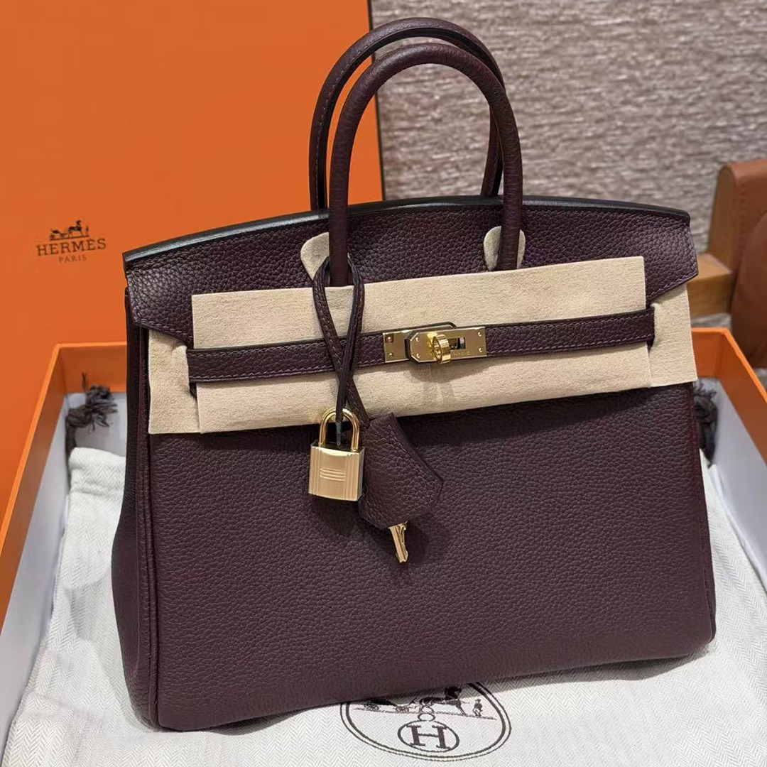 Hermès Birkin 25 Bag Handmade In Togo Calfskin Leather Gold Hardware OG Rouge Sellier