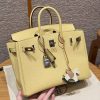 Hermes Birkin 25 Bag Handmade In Togo Calfskin Leather Silver Hardware 1Z Jaune Poussin