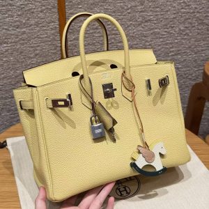Hermes Birkin 25 Bag Handmade In Togo Calfskin Leather Silver Hardware 1Z Jaune Poussin