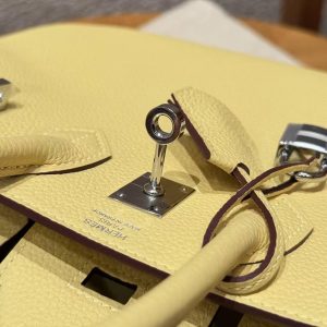Hermes Birkin 25 Bag Handmade In Togo Calfskin Leather Silver Hardware 1Z Jaune Poussin - Image 6