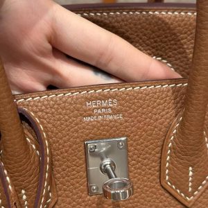 Hermès Birkin 25 Bag Handmade In Togo Calfskin Leather Silver Hardware 37 Gold - Image 11