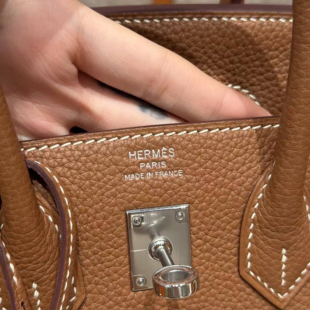 Hermès Birkin 25 Bag Handmade In Togo Calfskin Leather Silver Hardware 37 Gold - Image 11