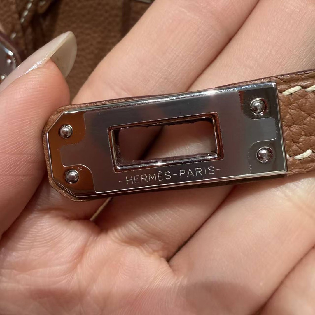 Hermès Birkin 25 Bag Handmade In Togo Calfskin Leather Silver Hardware 37 Gold - Image 10
