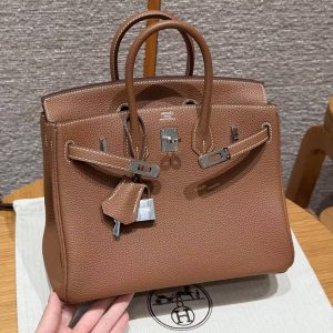 Hermès Birkin 25 Bag Handmade In Togo Calfskin Leather Silver Hardware 37 Gold - Image 8