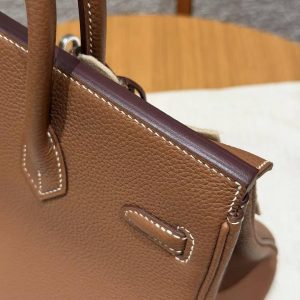 Hermès Birkin 25 Bag Handmade In Togo Calfskin Leather Silver Hardware 37 Gold - Image 6