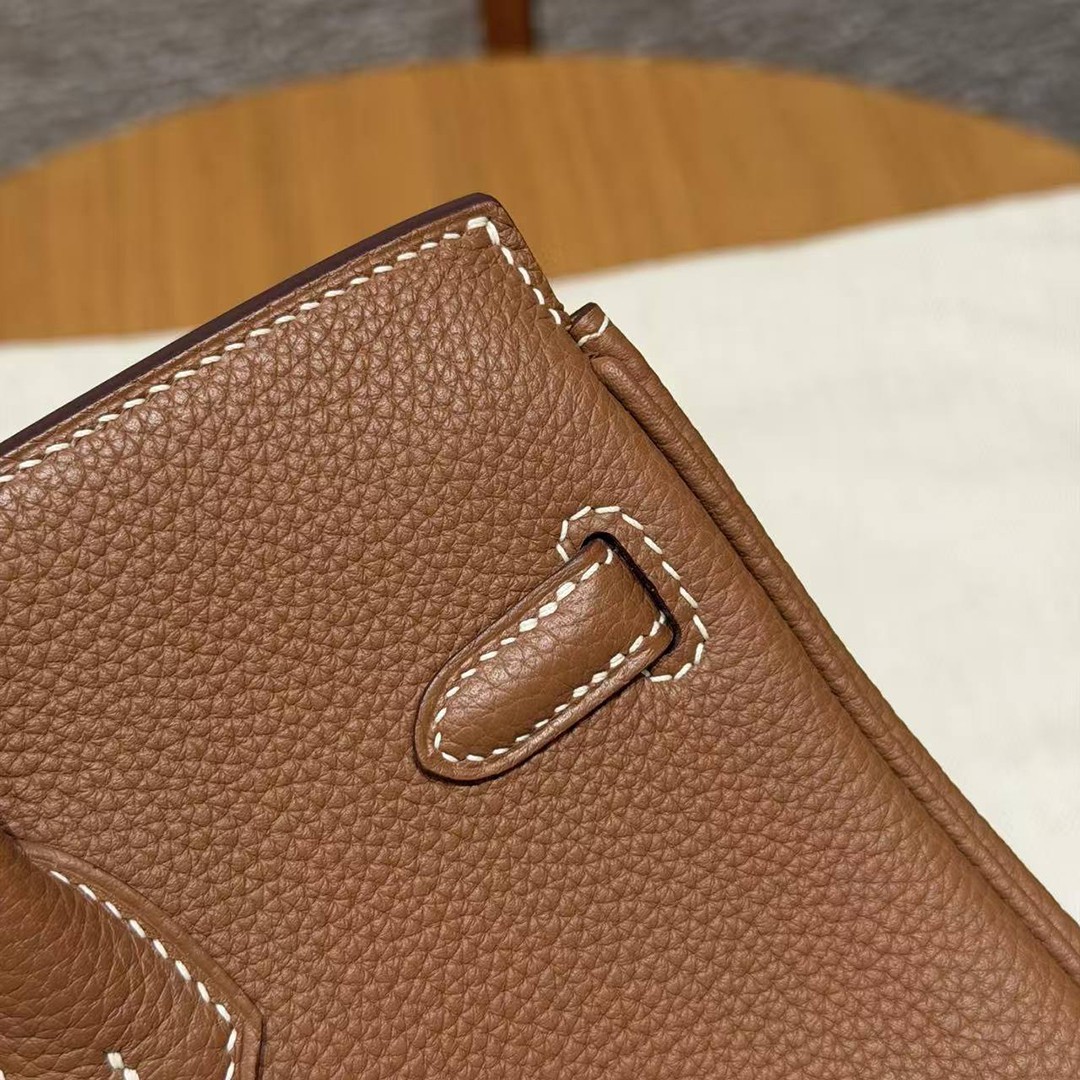 Hermès Birkin 25 Bag Handmade In Togo Calfskin Leather Silver Hardware 37 Gold - Image 5