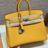 Hermès Birkin 25 Bag Handmade In Togo Calfskin Leather Silver Hardware 9D Jaune Ambre