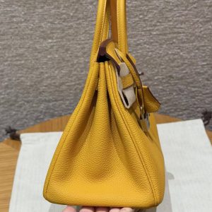 Hermès Birkin 25 Bag Handmade In Togo Calfskin Leather Silver Hardware 9D Jaune Ambre - Image 20