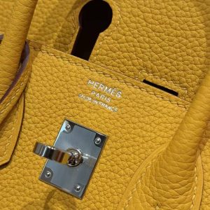 Hermès Birkin 25 Bag Handmade In Togo Calfskin Leather Silver Hardware 9D Jaune Ambre - Image 16