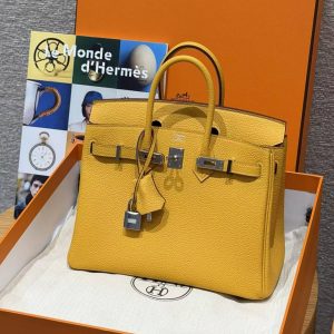 Hermès Birkin 25 Bag Handmade In Togo Calfskin Leather Silver Hardware 9D Jaune Ambre - Image 13