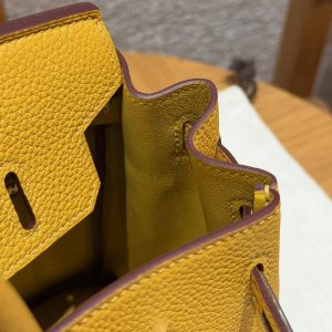 Hermès Birkin 25 Bag Handmade In Togo Calfskin Leather Silver Hardware 9D Jaune Ambre - Image 9