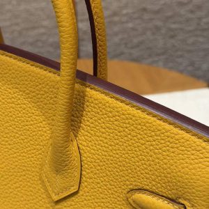 Hermès Birkin 25 Bag Handmade In Togo Calfskin Leather Silver Hardware 9D Jaune Ambre - Image 8