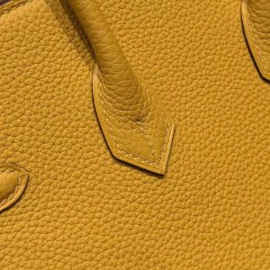 Hermès Birkin 25 Bag Handmade In Togo Calfskin Leather Silver Hardware 9D Jaune Ambre - Image 6