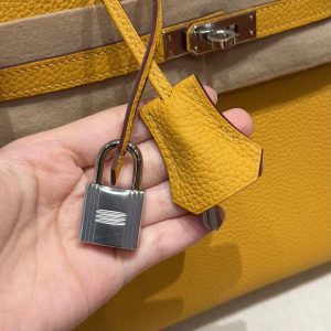 Hermès Birkin 25 Bag Handmade In Togo Calfskin Leather Silver Hardware 9D Jaune Ambre - Image 5