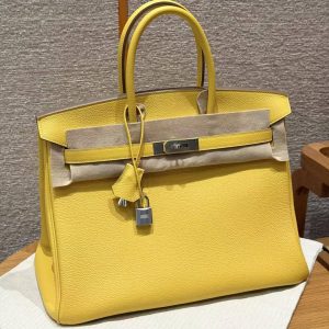 Hermes Birkin 25 Bag Handmade In Togo Calfskin Leather Silver Hardware 9r Lime
