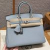 Hermès Birkin 25 Bag Handmade In Togo Calfskin Leather Silver Hardware N4 Gris Platine