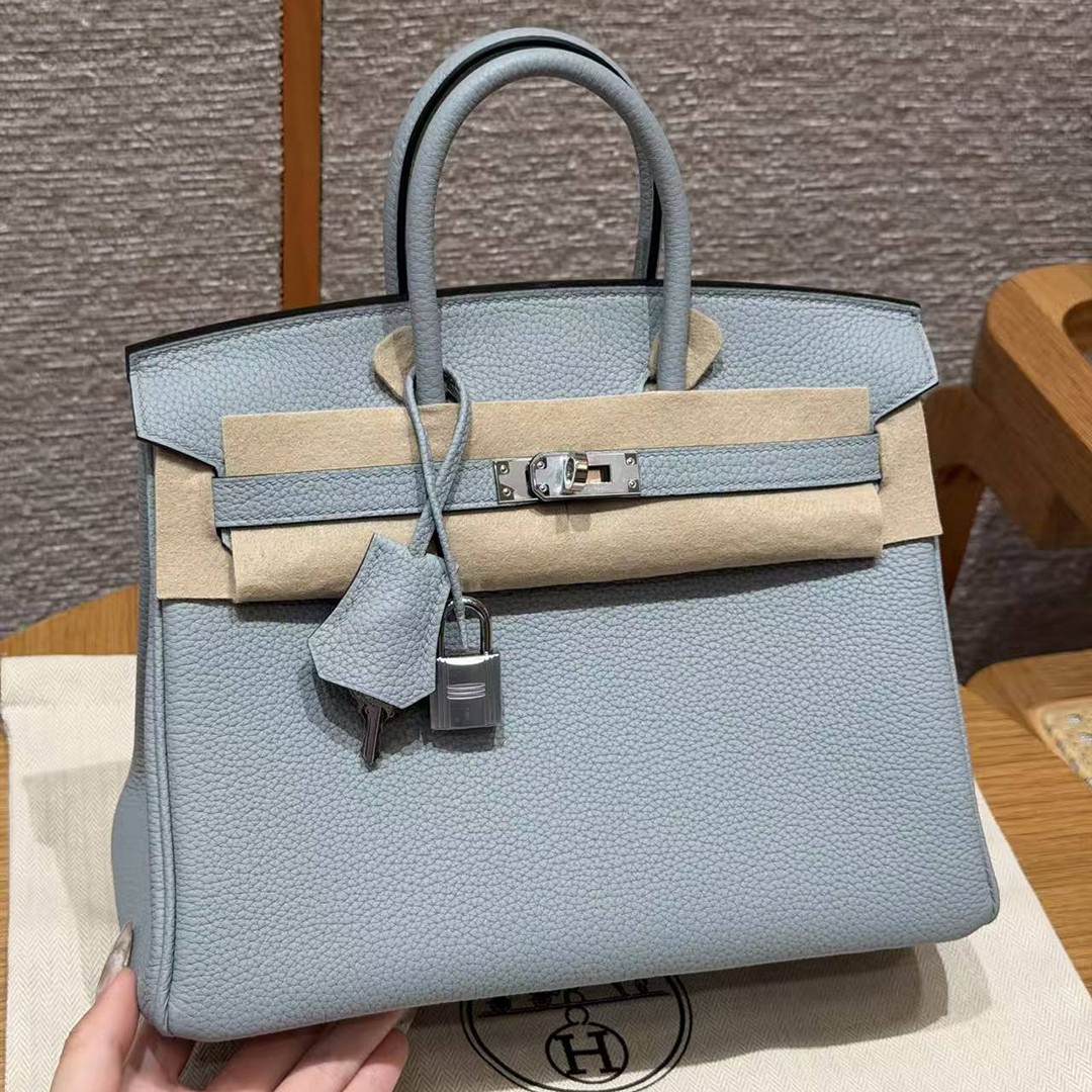 Hermès Birkin 25 Bag Handmade In Togo Calfskin Leather Silver Hardware N4 Gris Platine