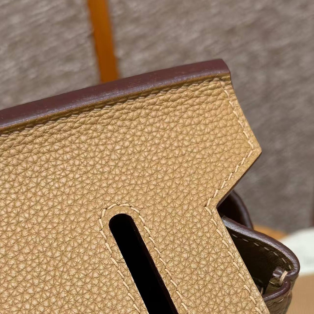 Hermès Hac a Dos PM Backpack Handmade In Togo Calfskin Leather Silver Hardware 0M Chai - Image 11