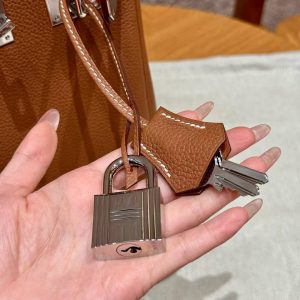 Hermès Hac a Dos PM Backpack Handmade In Togo Calfskin Leather Silver Hardware Ck37 Gold - Image 13